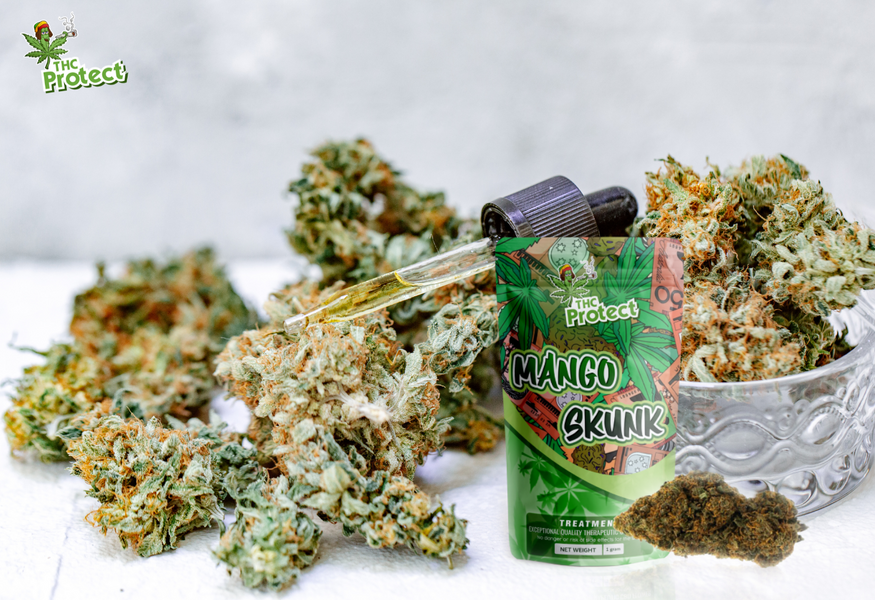 Atraskite išskirtinį Mango Skunk CBD žiedo stiprumą