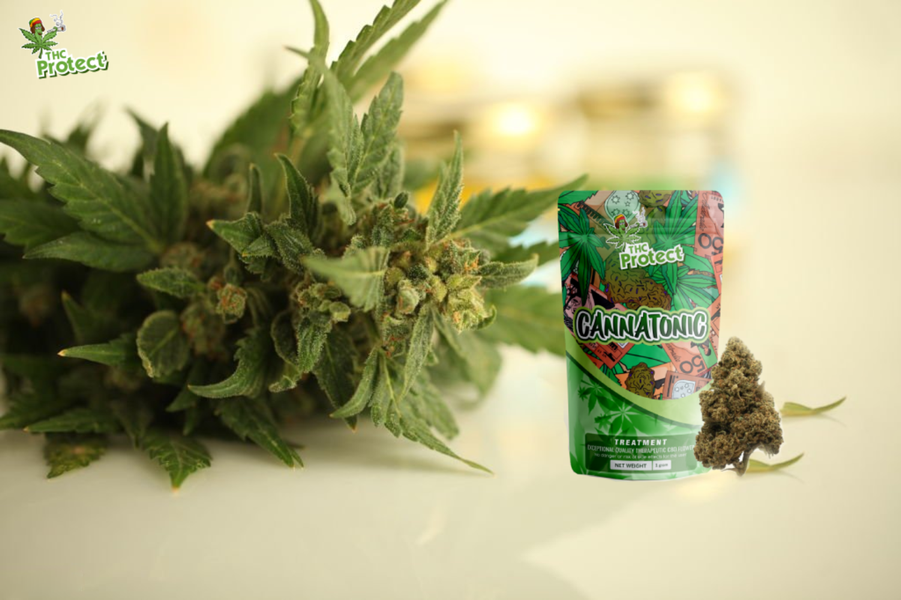 Cannatonic CBD gėlių nauda sveikatai ir gerovei